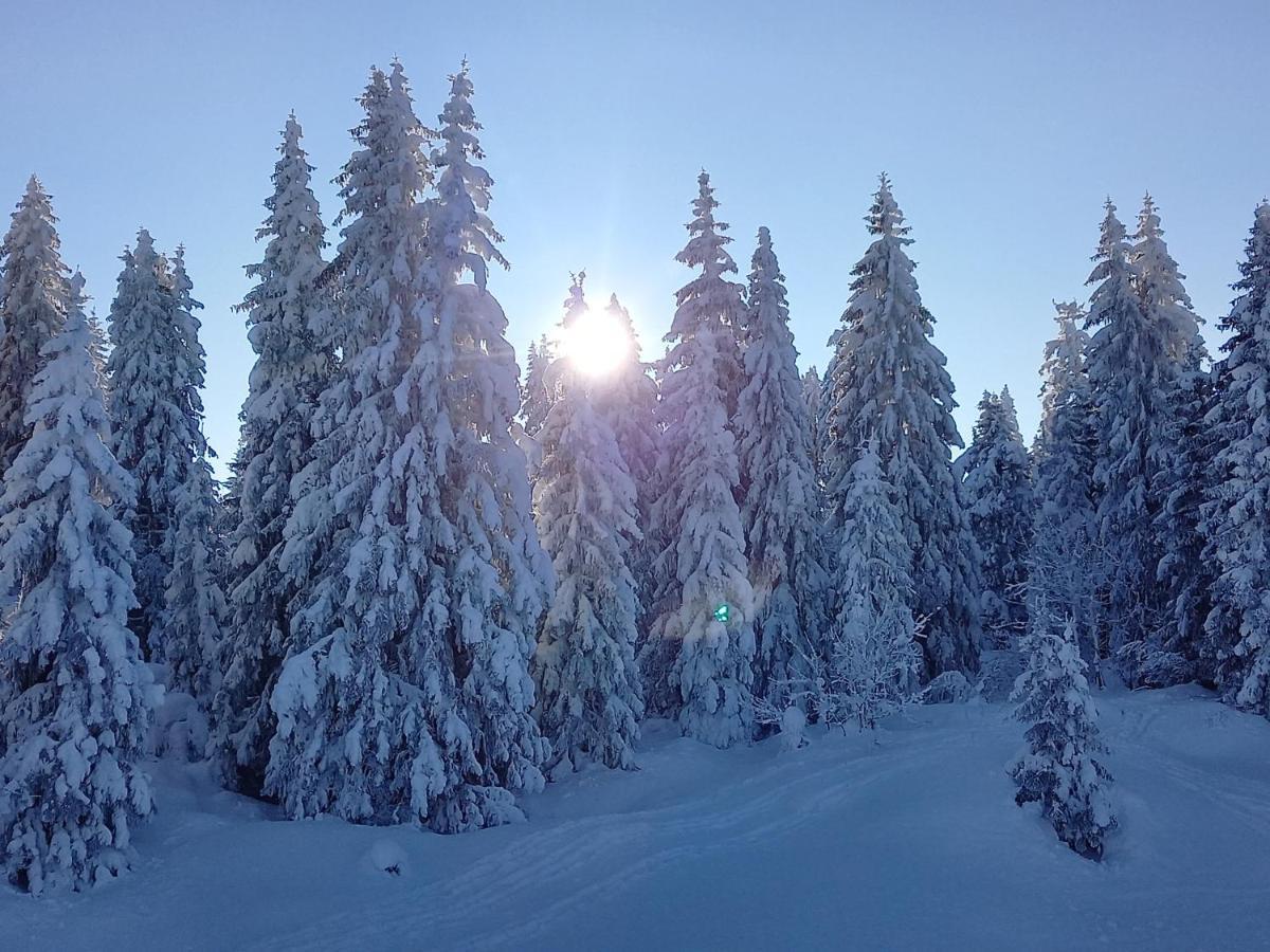 Au Pied Du Pertuiset